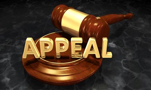 Criminal Appeal